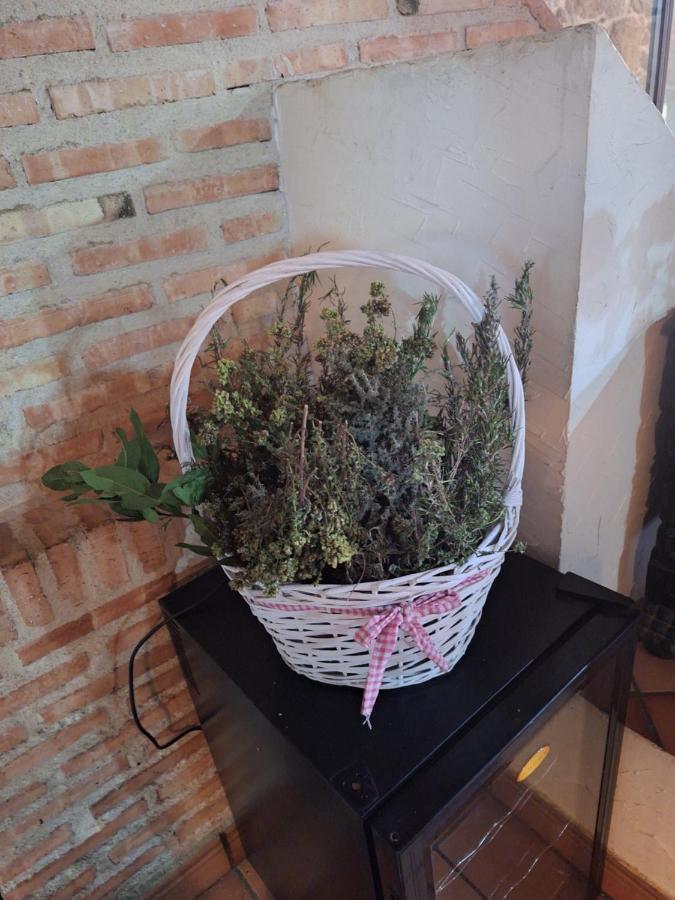 Hostal El Patio Restaurante San Bartolomé de Pinares Dış mekan fotoğraf
