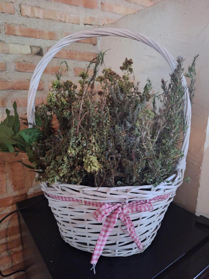 Hostal El Patio Restaurante San Bartolomé de Pinares Dış mekan fotoğraf